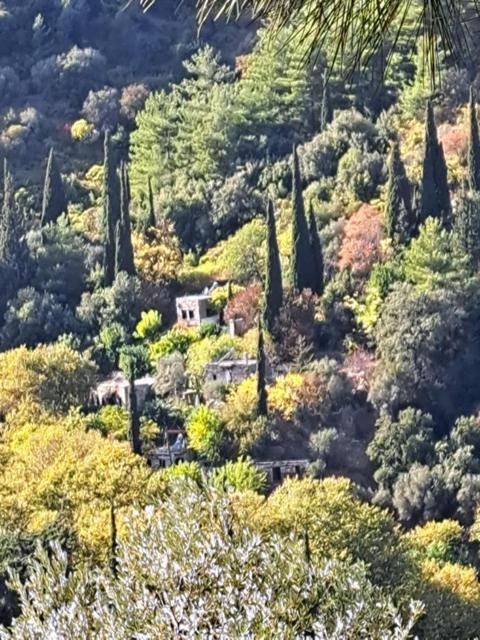 Valeondades Villa Valeontades ภายนอก รูปภาพ